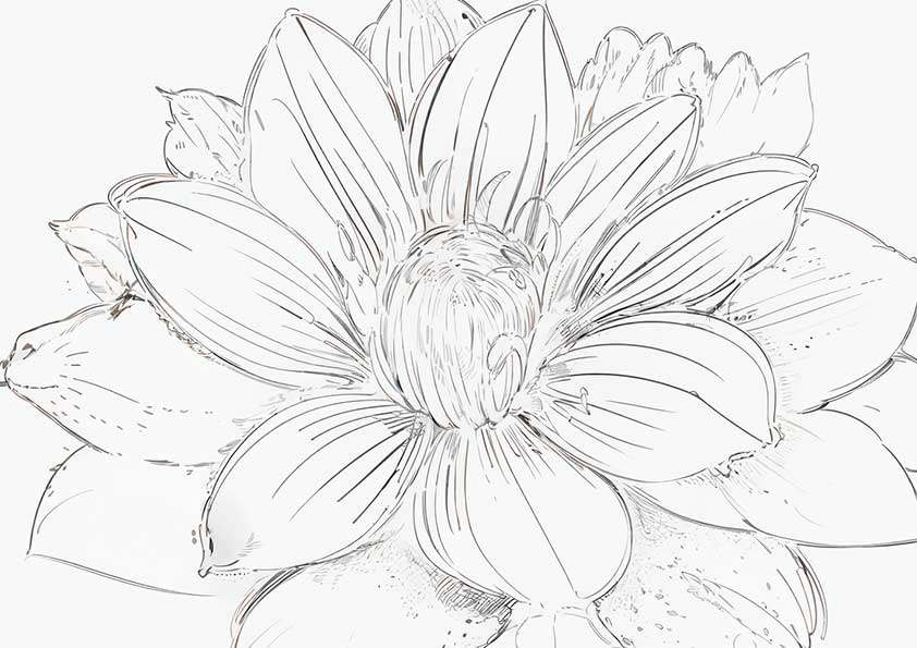 “Elegantly Blooming Lotus” – Adult Coloring Page [Free Download] – Printable & Commercial Use Allowed