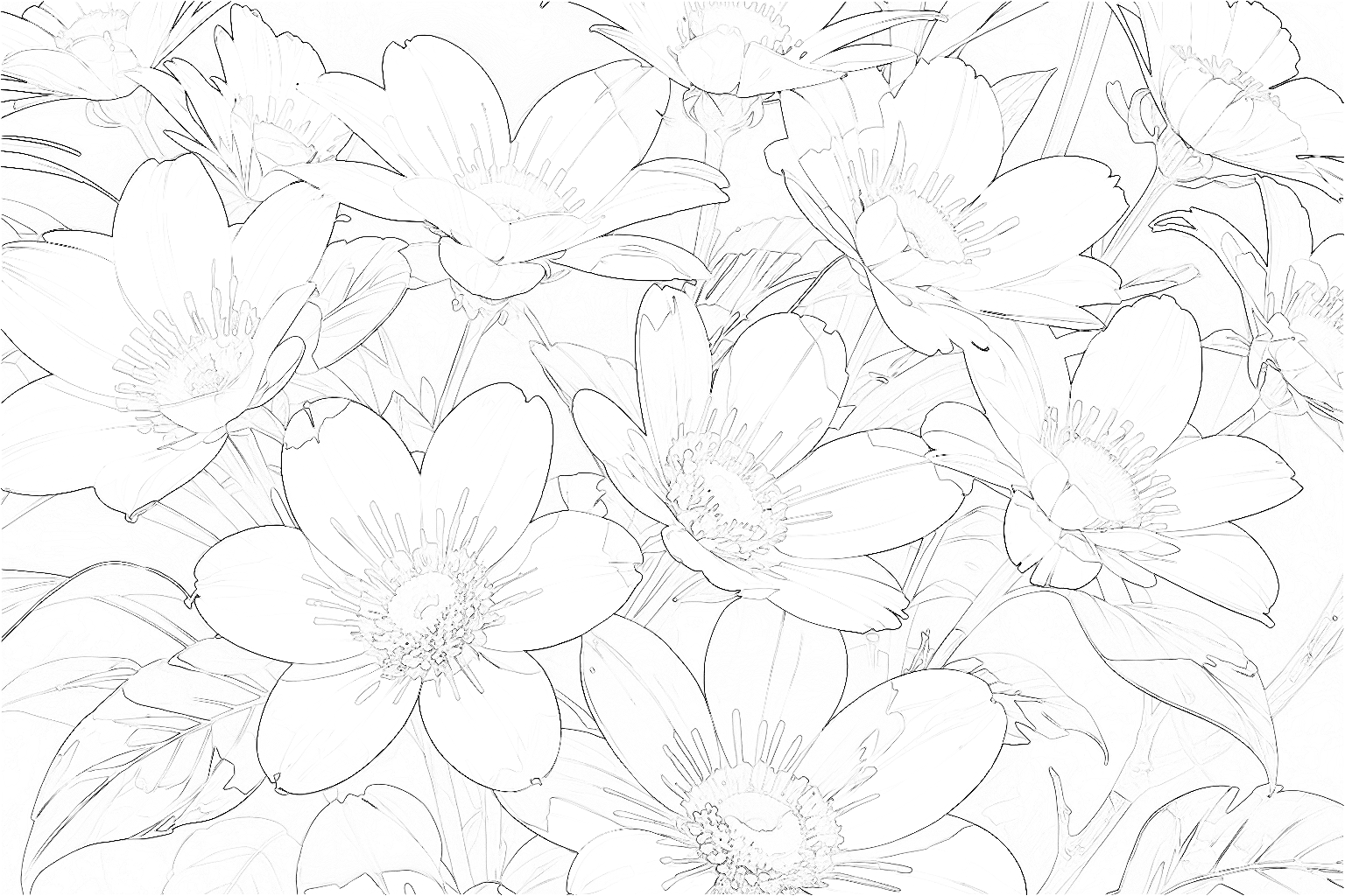 『花』大人の塗り絵【無料】- 白い花々の輝き