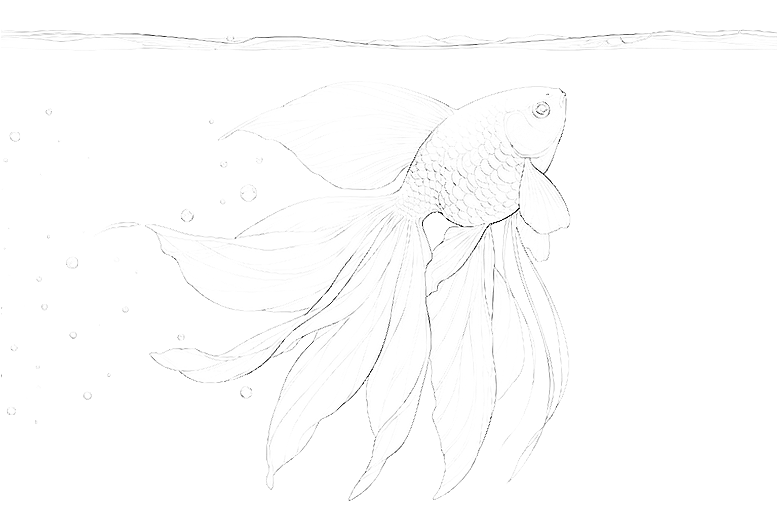 金魚『水面を滑る優雅』-シンプルな大人の塗り絵【無料で印刷】