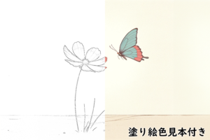 ひらひらと舞う - 一輪の花と蝶 -シンプルかわいい大人の塗り絵【無料で印刷】