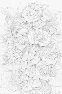 紫陽花の塗り絵『紫の彩り』【大人の塗り絵-図柄の無料ダウンロード】- 印刷・商用利用可