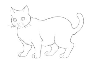 動物の塗り絵『散歩する猫』【大人の塗り絵-図柄の無料ダウンロード】- 印刷・商用利用可