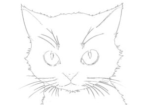 動物の塗り絵『猫の肖像』【大人の塗り絵-図柄の無料ダウンロード】- 印刷・商用利用可