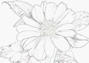 花の塗り絵『癒しの花』【ぬりえ図柄の無料ダウンロード】- 印刷・商用利用可