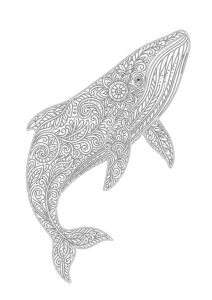 幻想世界の生き物『クジラ』【塗り絵の無料ダウンロード】- 大人のリラックスタイムにぴったり